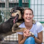 Adopter un chien - Checklist pour se préparer