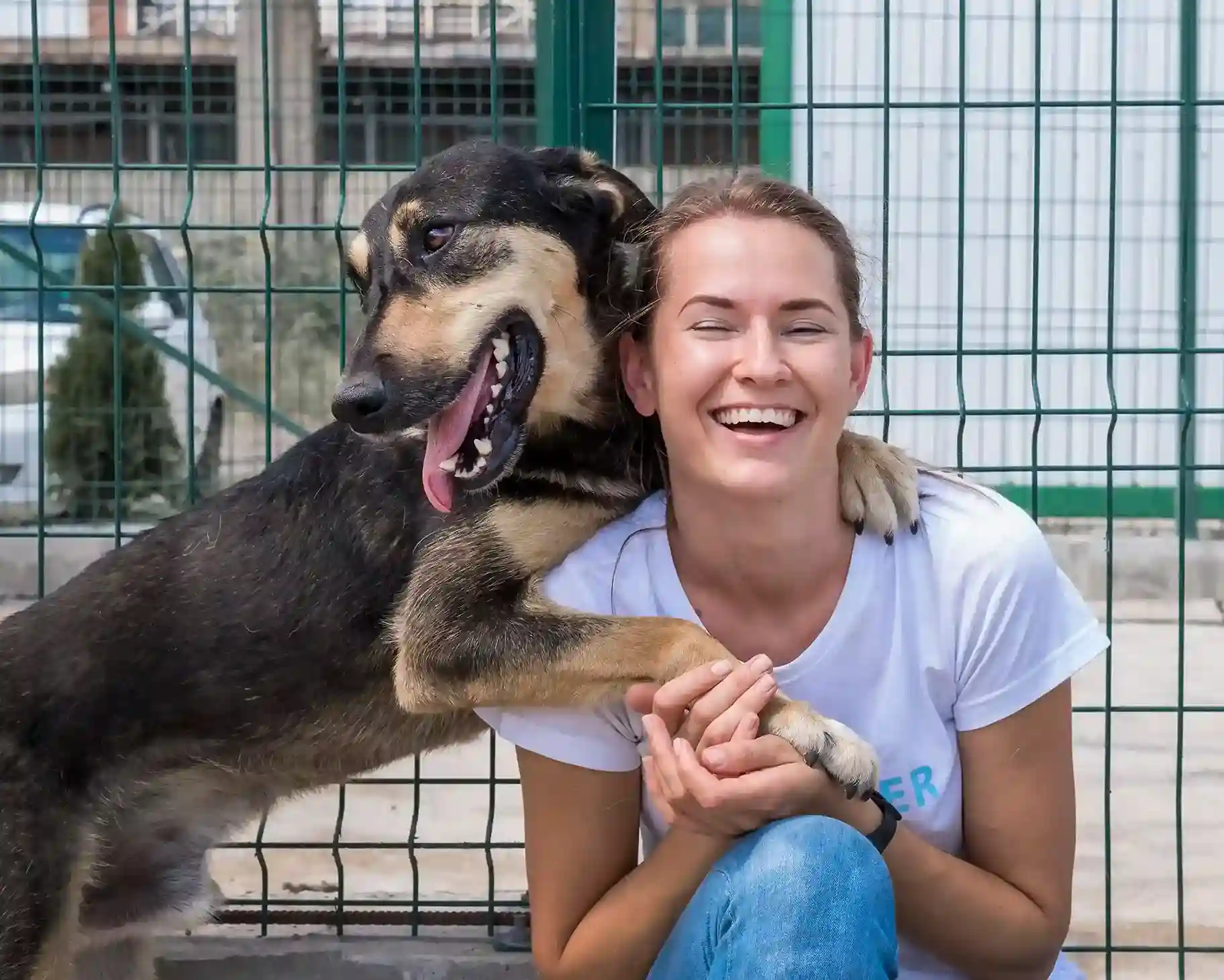 Adopter un chien - Checklist pour se préparer